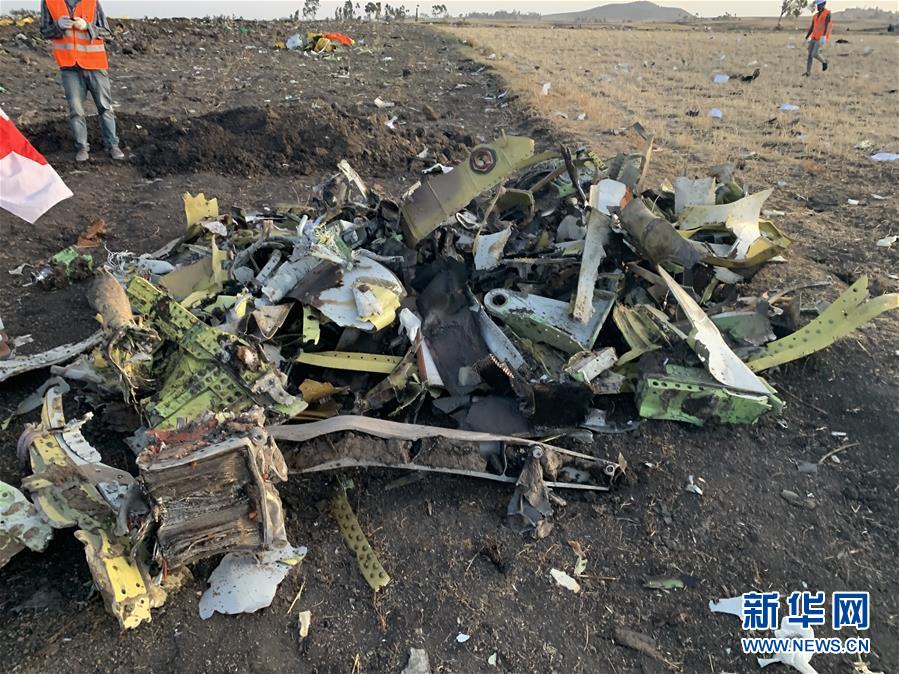 埃航客机坠毁157人遇难 或与客机系统问题有关？