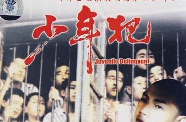 未成年人刑责年龄降至12岁？矫治和防范才是重点