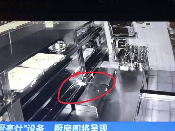 外婆家”又出事啦！ 老鼠竟爬上了案板