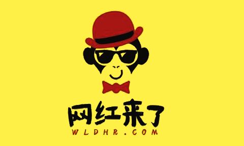 网红流浪者沈先生复旦毕业、因妻儿车祸自暴自弃？真相是……