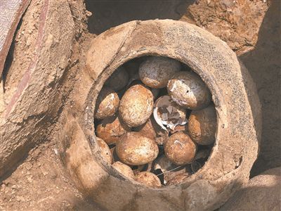江苏溧阳春秋古墓出土一罐鸡蛋 距今2500年