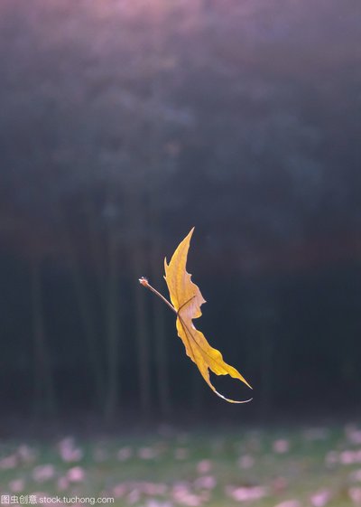 “流浪大师“走红的背后：是人们对于生活方式想象的匮乏