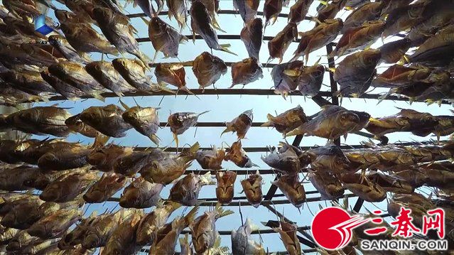 西安威斯汀大酒店举办顺德美食节