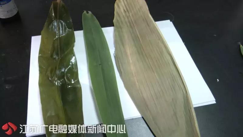当心！你买到的粽子可能含重金属 