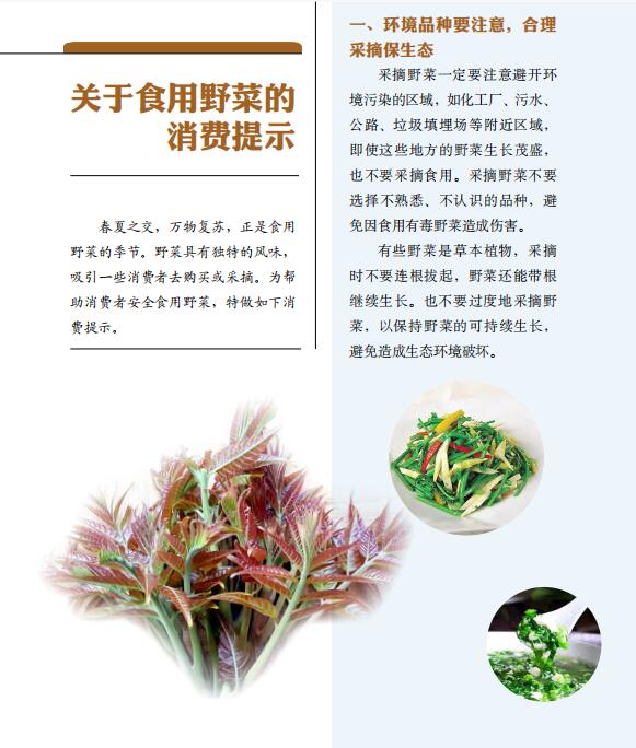关于食用野菜的消费提示