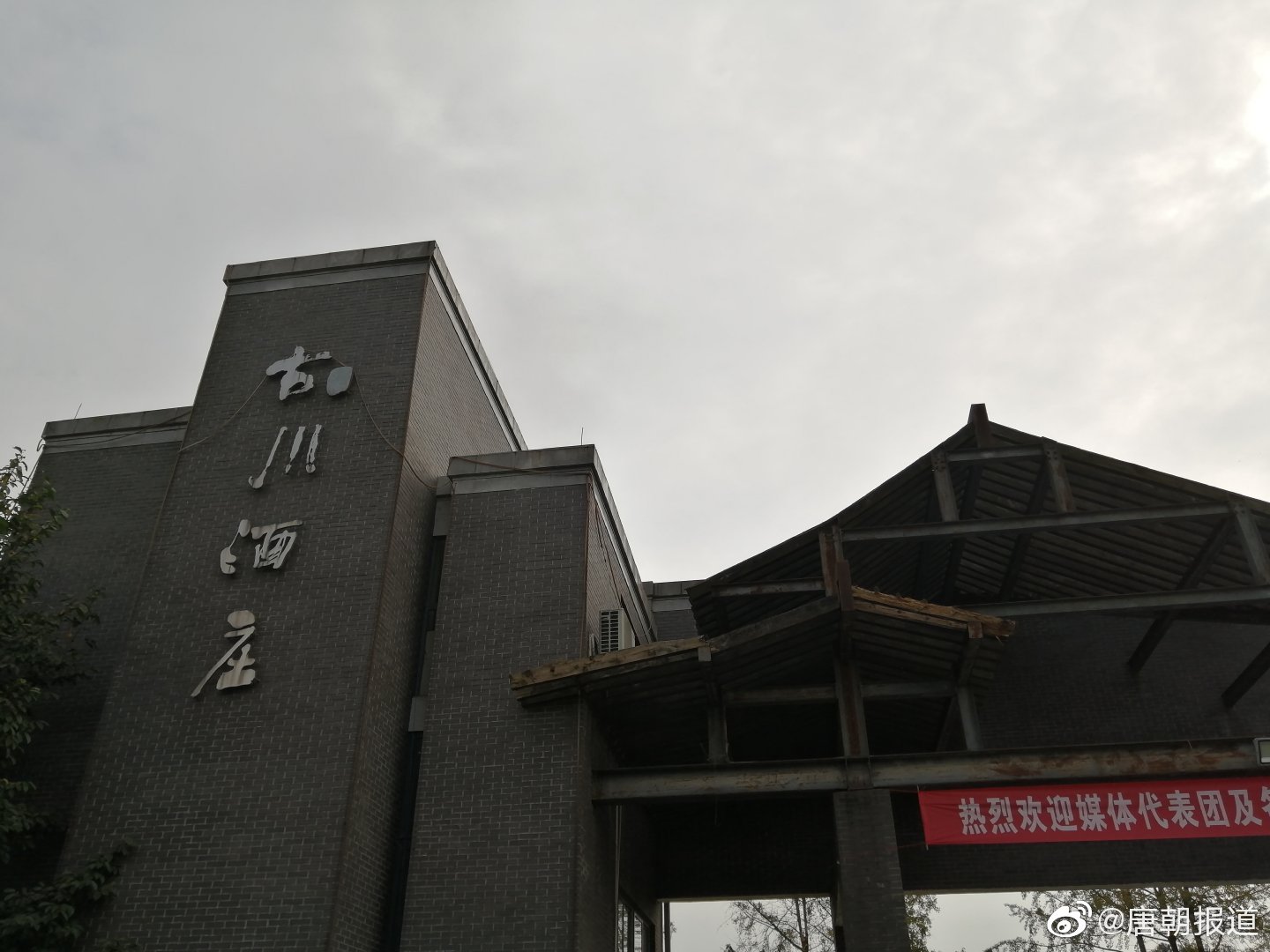 古川酒业：“园林”中酿酒  树下“养酒”