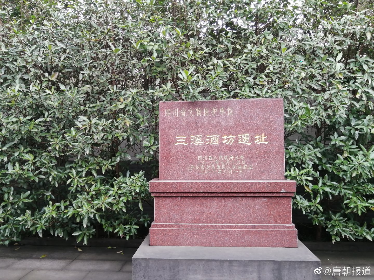 探访三溪古窖新酿