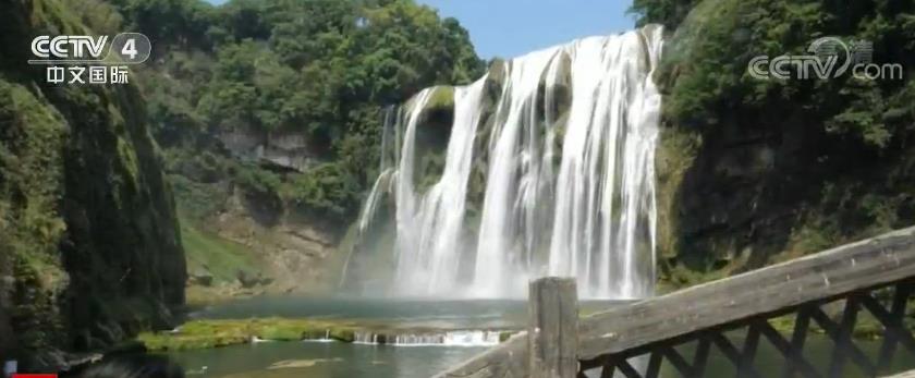 新模式新闻观察：“五一”假期 新业态、新模式提振消费促经济回暖