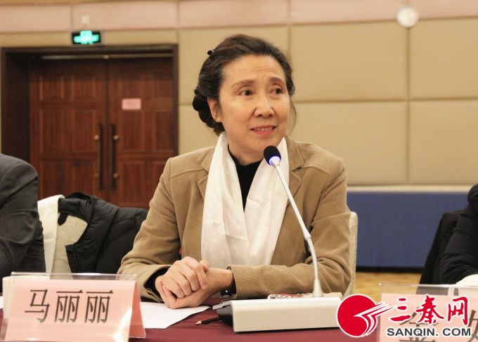 陕西旅游饭店协会秘书长马丽丽 (1)