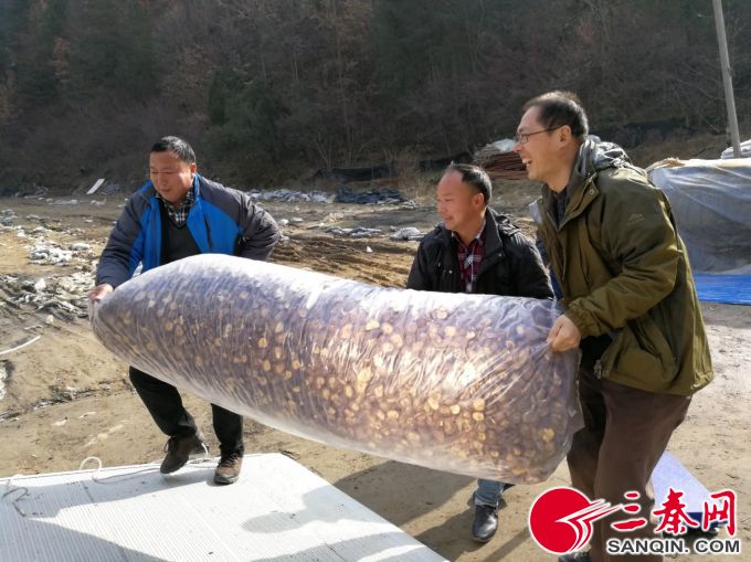 图片1