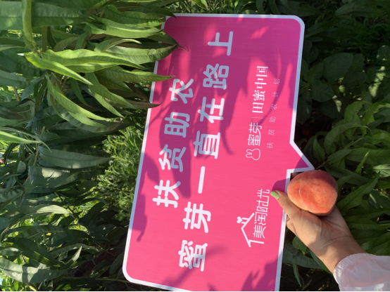 蜜芽与河南省内黄县人民政府达成战略合作 建设扶贫生态基地1905