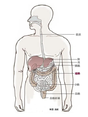 西安医学院附属胃泰消化病医院专家解析 带走 黑豹 男主离世的结肠癌到底有多厉害 三秦网