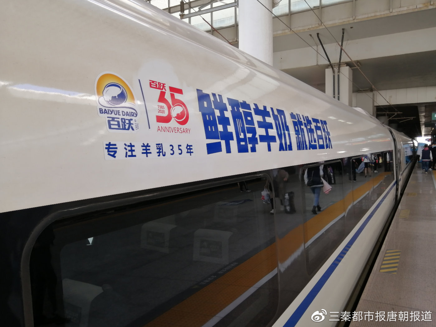 西安百跃冠名西沪列车    陕西羊乳品牌上高铁