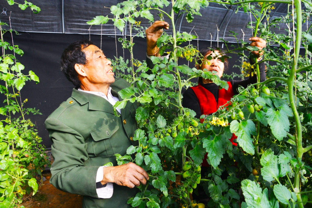 大柳塔经济总量_大柳塔图片