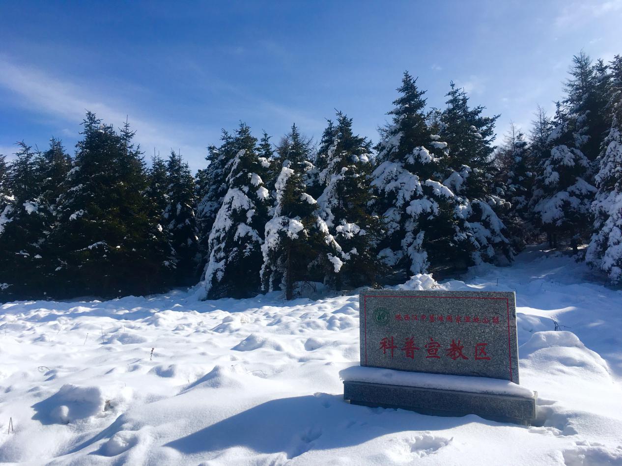 最新丨陕西秦岭林区又新增一处国家湿地公园