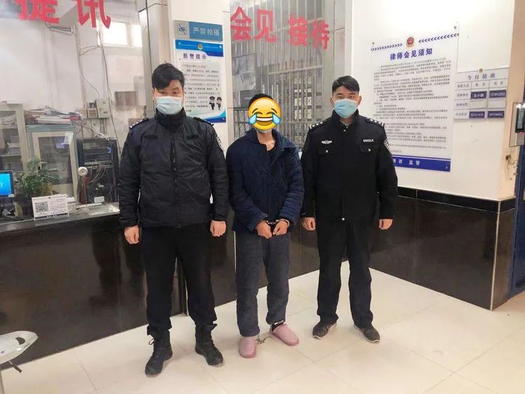 蓝田警方抓获盗窃汽车嫌疑人