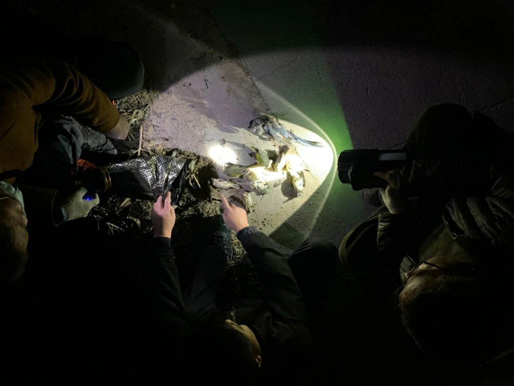 俩男子夜间用弹弓打鸟  被阎良警方查获
