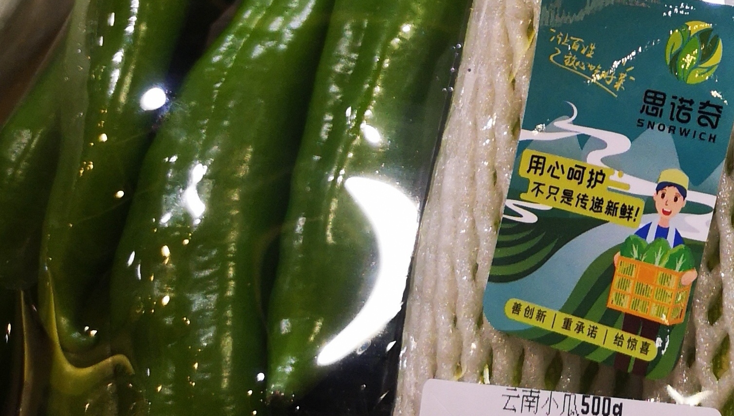 1月份陕西经济运行开局良好居民消费价格同比上涨0.3%