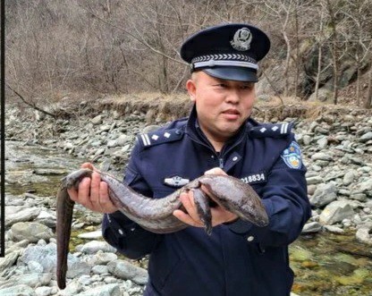 过年了   蜀黍送你“回家”
