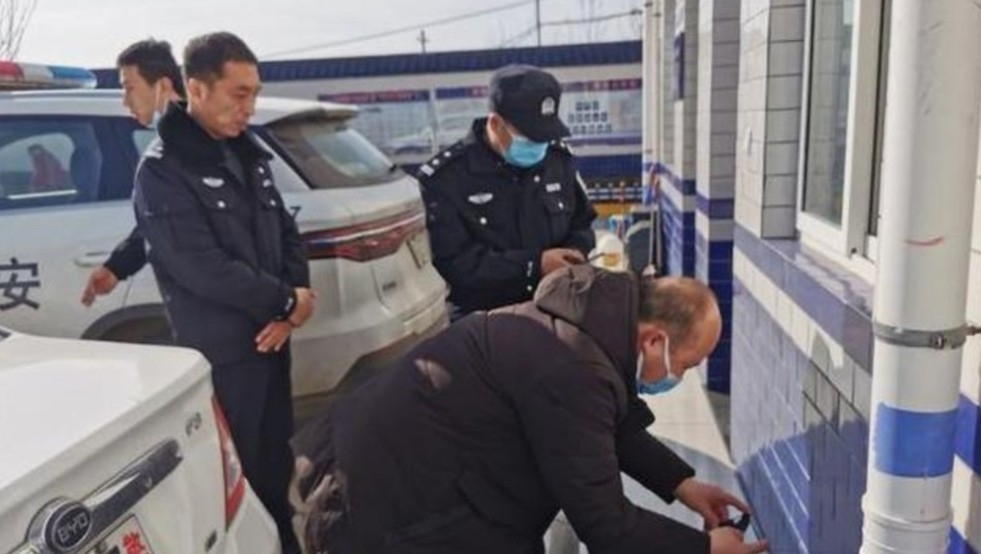鄠邑区一村民用粘鼠板抓老鼠意外粘到猫头鹰
