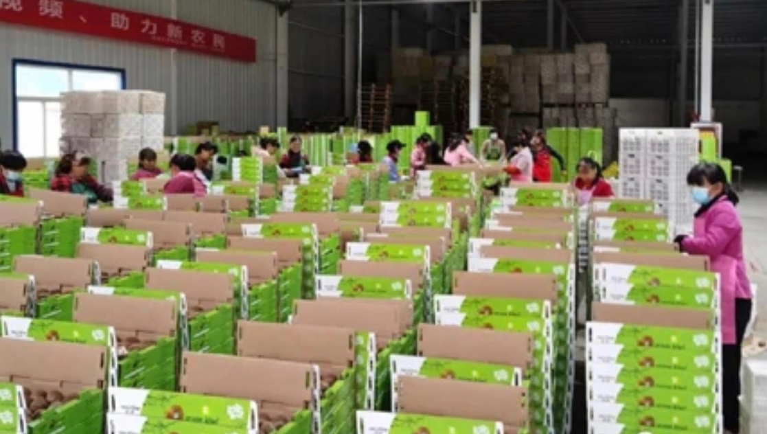 卖疯了！陕西“2021网上年货节”卖出87亿元