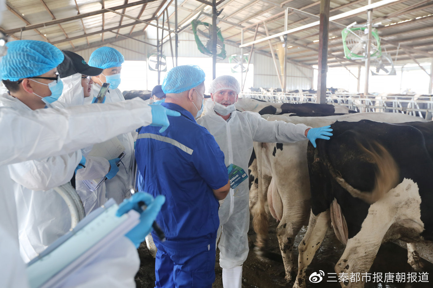 伊利组织中外专家为牧场提供技术支持