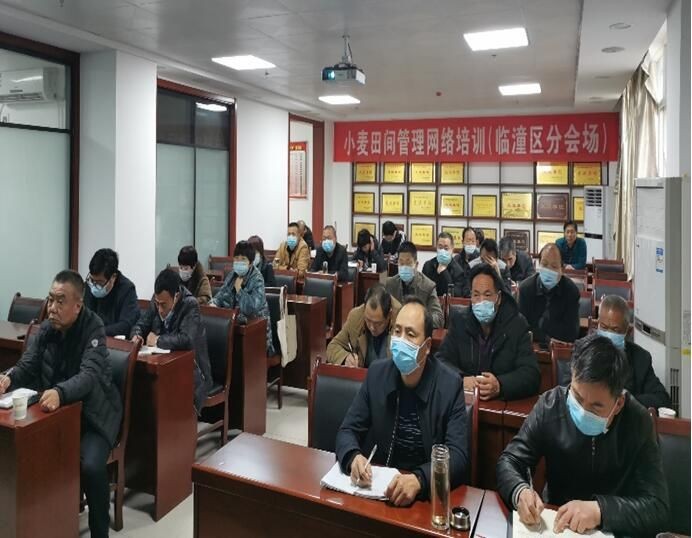 我省组织参加全国小麦春季管理网络培训会