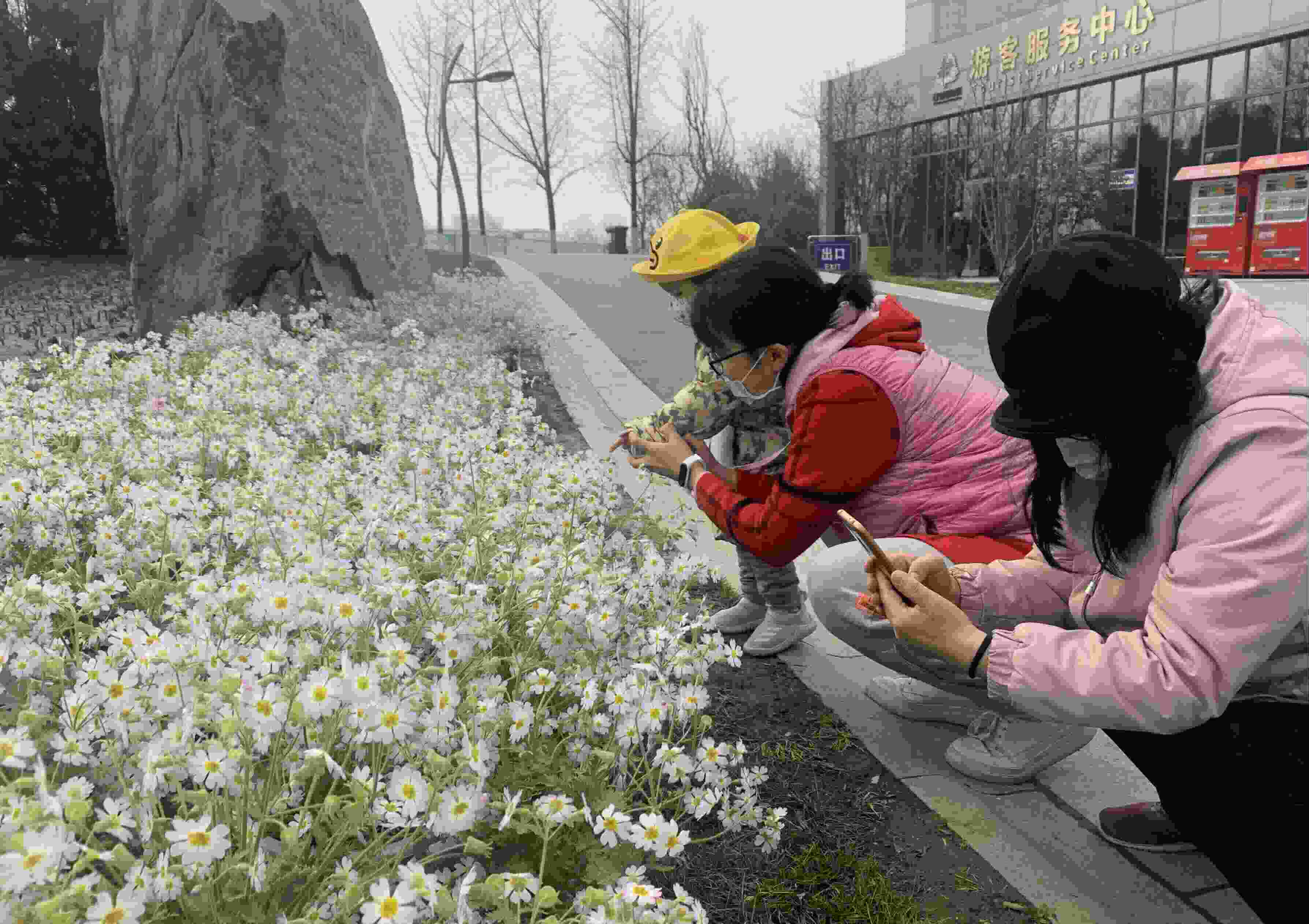 你知道吗？今天是世界野生动植物日如今越来越多的动植物“邻居”现身西安