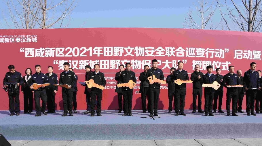 陕西首个开发区田野文物保护大队成立