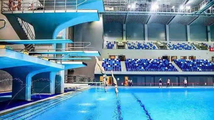 十四运会跳水项目测试赛专题会召开