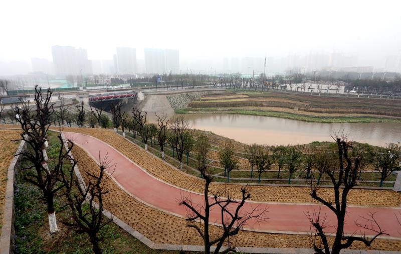 雁南公园：来“共享都市森林”打卡春游吧