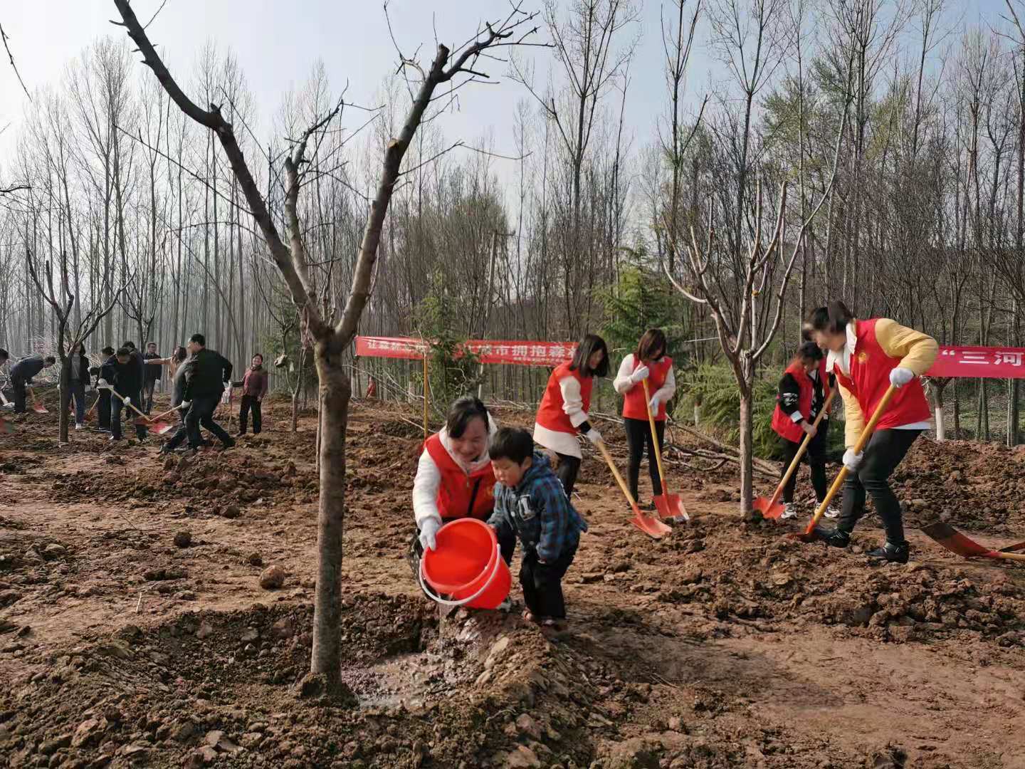 播撒一片绿色扮靓年“青”西安 长安区义务植树20余万株