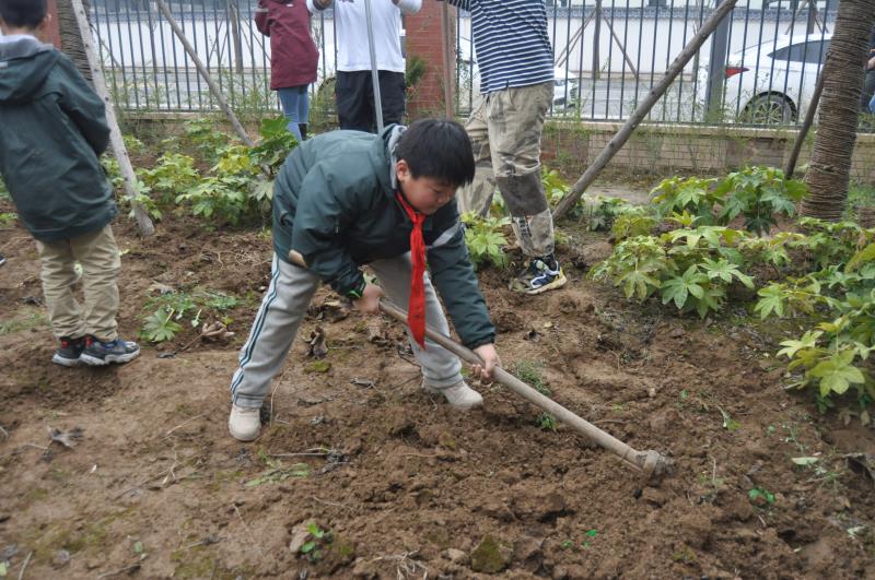 小学师生家长植树节体验开耕乐趣