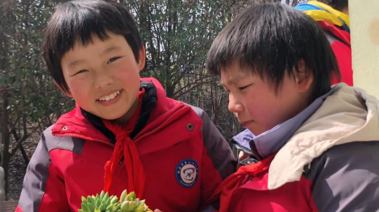 守望成长，鼎和保险公司关爱困境儿童献爱心