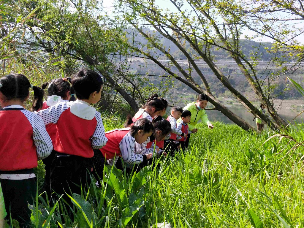 石泉县幼儿园：春日研学乐翻天  自然课堂绽新颜