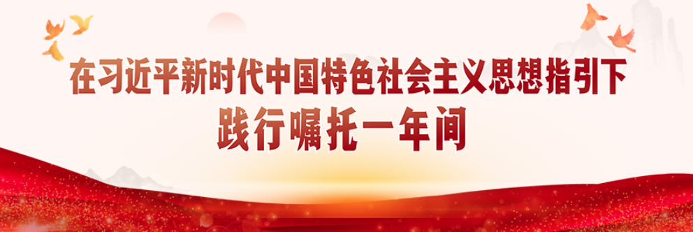在习近平新时代中国特色社会主义思想指引下 践行嘱托一年间