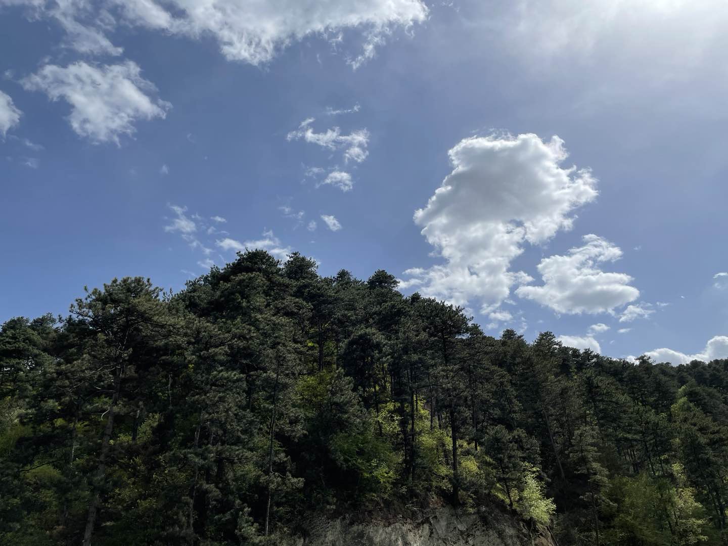 陕西煤业股份有限公司召开绿色矿山建设专题会