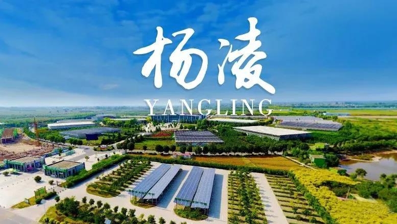 陕西杨凌：推动实施“链长制” 奋力打造农科产业高地