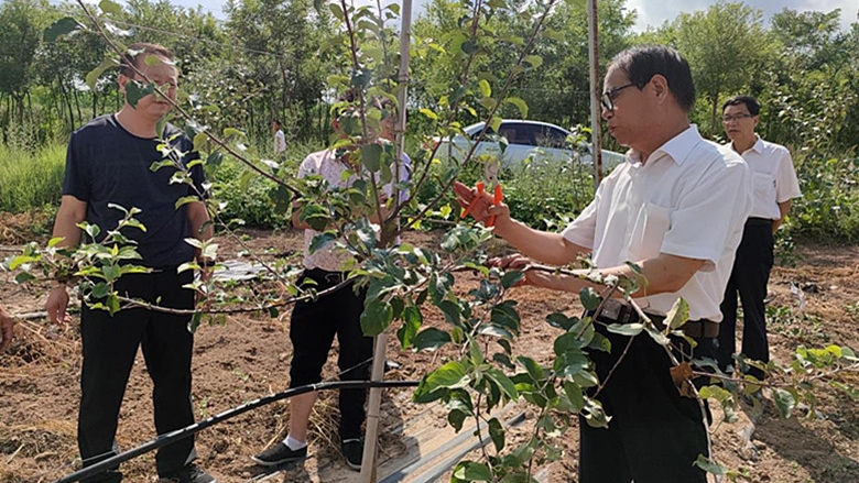 彬州市韩家镇：精细化服务让老百姓收获满满幸福感