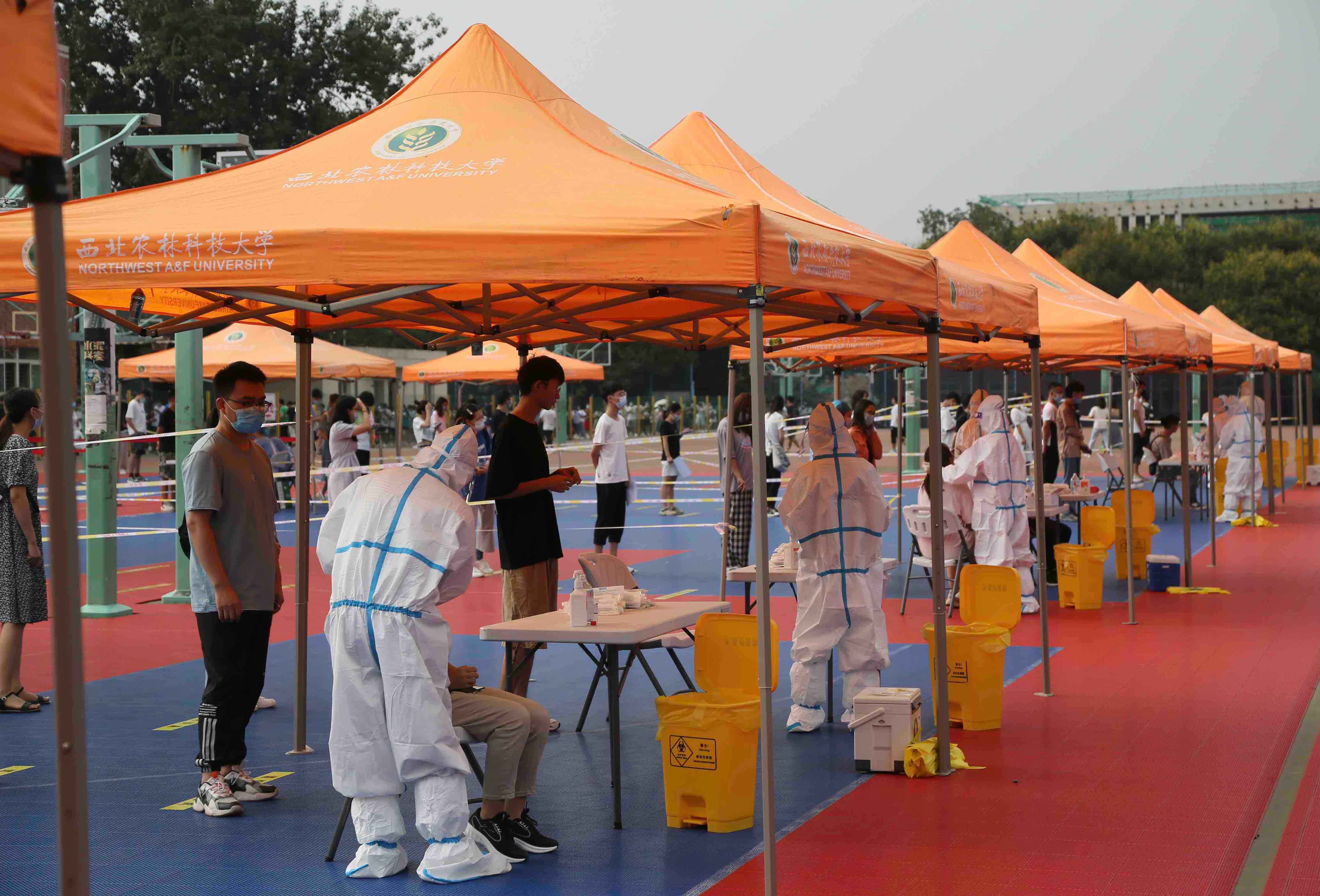 杨凌：核酸检测快速、高效  助力校园疫情防控常态化