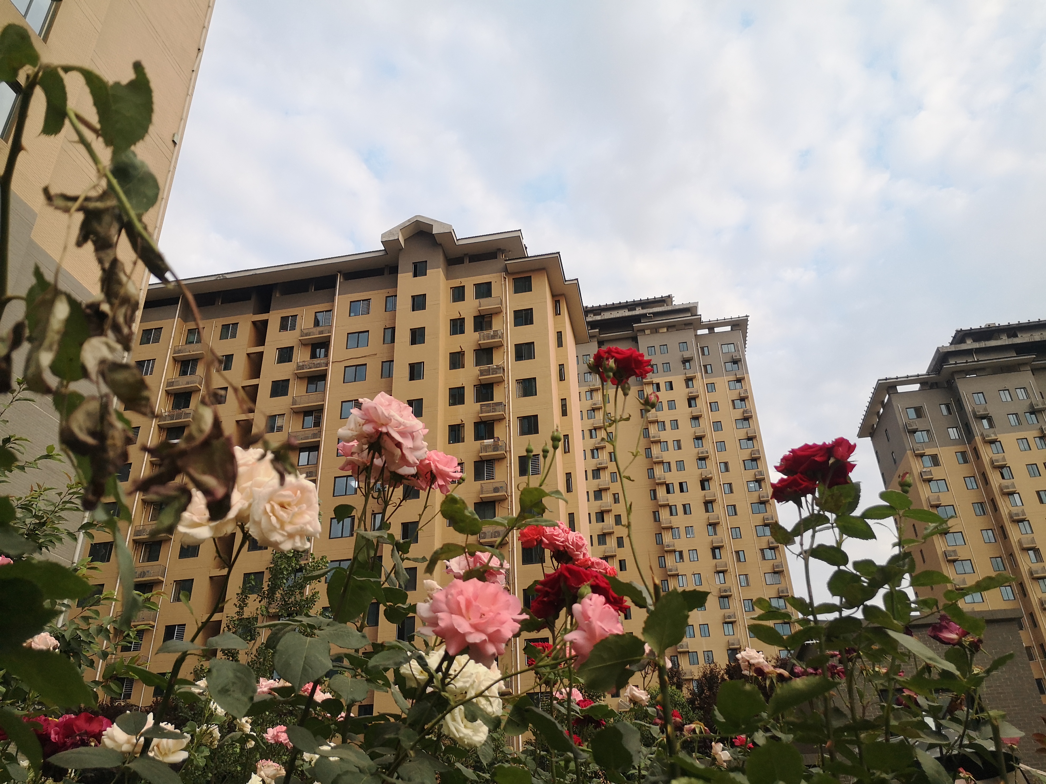 上半年陕西房地产开发下行趋势显现投资增速回落 市场预期逐渐趋稳