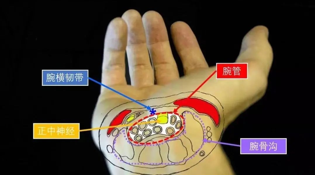 手麻 手痛 熟睡中被“麻醒”？上班族当心“鼠标手”！