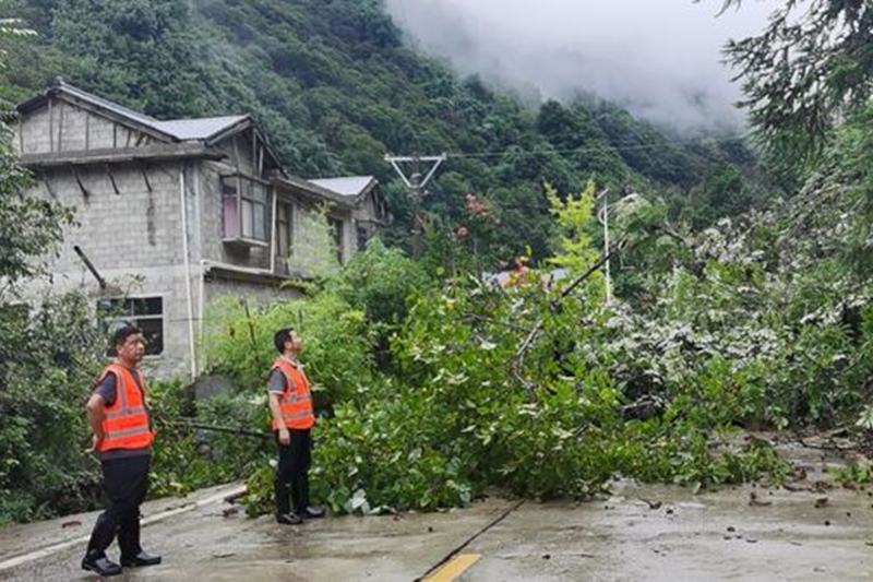 镇安县丰收村全面安排部署防汛救灾工作