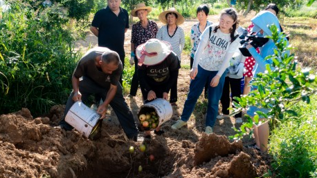果业人才进果园 防灾保产稳增收