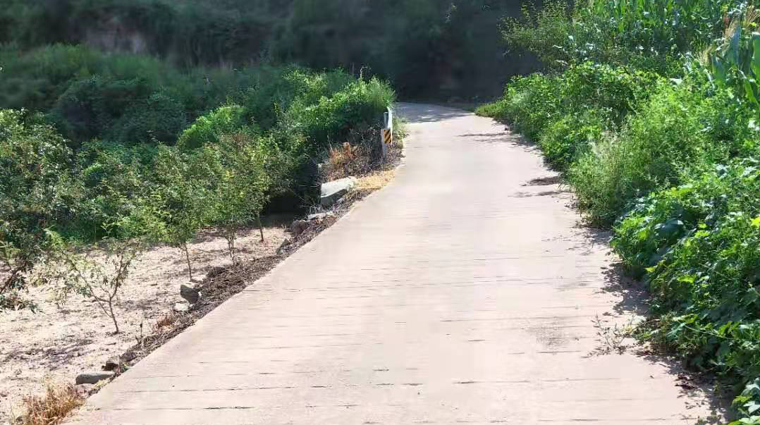 【我为群众办实事——人大·代表在行动】“路修宽了 ，摘椒方便了！”韩城市人大代表刘东来拓宽硬化生产路