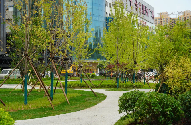 1630584446(1).png