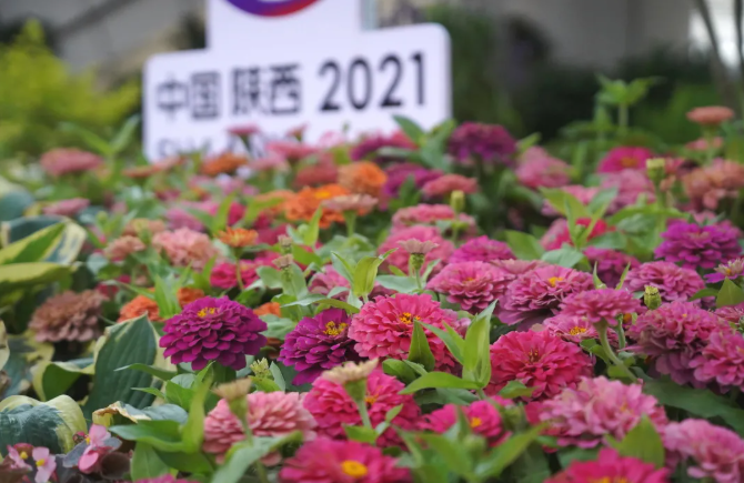 1630584494(1).png