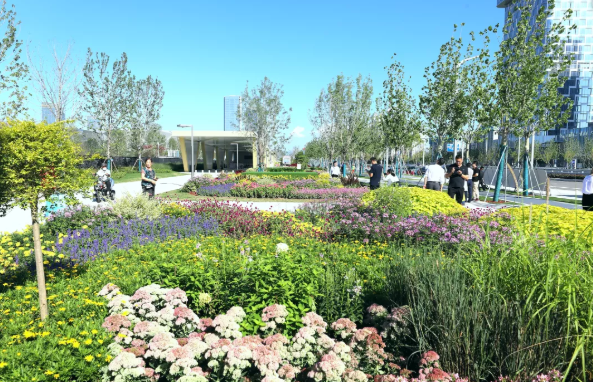 1631072687(1).png