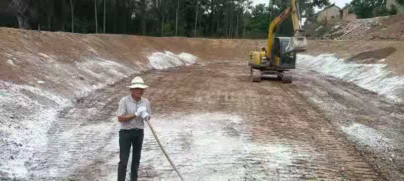 【学党史，办实事】改造涝池环境 建设美丽乡村