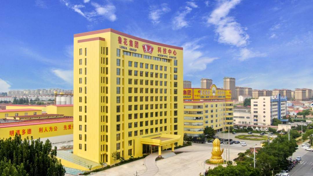 鲁花：党建引领   化“软实力”为“新动能”